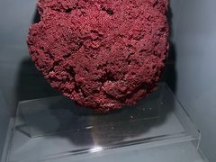 -天津自然博物馆