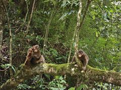 -西岭雪山大飞水景区