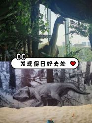 -恐龙探索乐园(磁器口店)