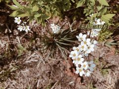 -好利来(尚志大街店)