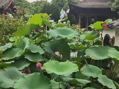 -钱王祠
