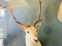 -陕西自然博物馆