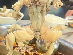 美蛙-味之绝美蛙鱼头火锅(花都店)