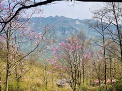 -九皇山景区