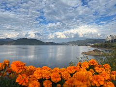 -千岛湖天屿景区