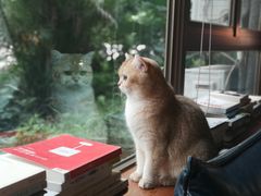 -咖法森林·咖啡  酒吧(天河店)