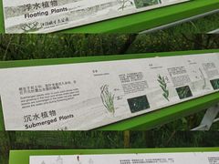 -西湖风景区-江洋畈生态公园