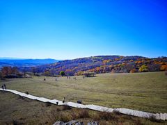 -塞罕坝国家级自然保护区