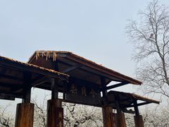 -江苏三台山国家森林公园