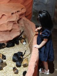 -Zoolung Zoolung动物主题公园(海信广场店)