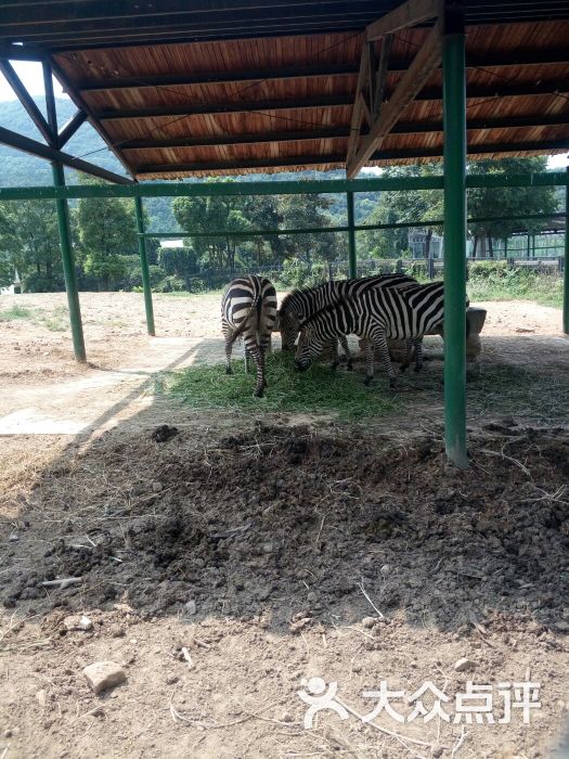 無錫動物園·太湖歡樂園圖片 - 第3張