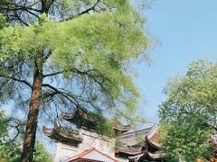 -鸡鸣寺