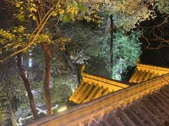 -巴倒烫陆派火锅山庄(南山总店)