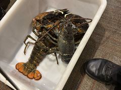 -鱼乐轩海鲜专门店