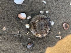 -闽江夜游台江旅游码头