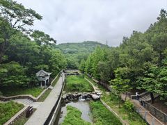 -白水寺森林公园
