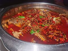 -宽口美蛙鱼头(大唐西市店)