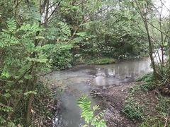 -桤木河湿地公园