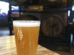 -40+精酿啤酒俱乐部(国投财富广场店)
