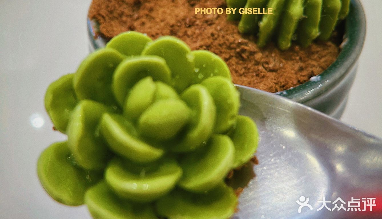 探店｜试试可以吃的多肉植物🌵