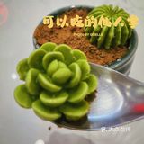 探店｜试试可以吃的多肉植物🌵