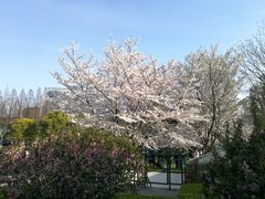 -复旦大学光华楼