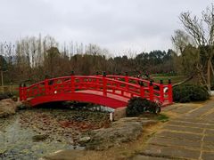 -秀丽东方
