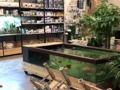 -趣陶陶艺手工坊(新世界百货重庆店)