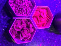 -好乐迪(张扬路八佰伴店)