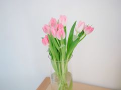 -平吉花卉市场