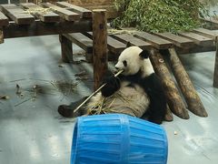 -无锡动物园·太湖欢乐园