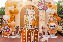 -派对猴生日派对策划(浦东店)