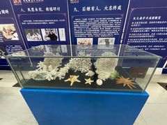 -上海海洋大学鱼文化博物馆(军工路校区)