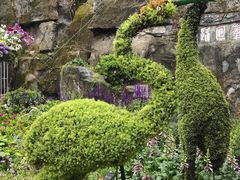 -深圳仙湖植物园-停车场