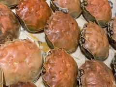 -万象·复兴号鲜肉烤肉海鲜自助(升级店)