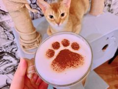 -猫小院猫主题餐厅(三里屯店)