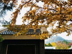 -阳台山自然风景区