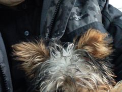 -纳吉亚猫专科动物诊疗中心(蒋宅口分院)