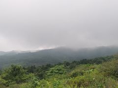 -阳台山自然风景区