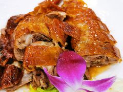-绿丰园农家菜(南北大厦店)