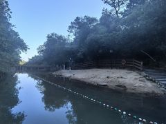 -广州白江湖森林公园