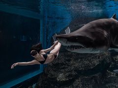 -海合安成都极地海洋公园