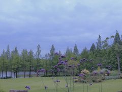 -浙江农林大学(东湖校区)
