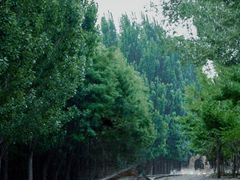 -将府公园