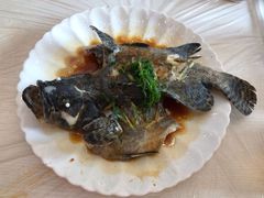 清蒸石斑鱼-覃记海鲜美食餐厅