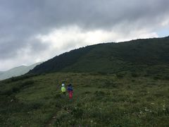 -秦岭风景区