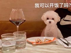 -the rug 飞毯 (朝阳公园店)