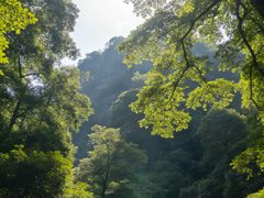 -青城山