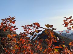 -狼牙山风景区