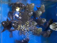 -振华超市(新华西道店)